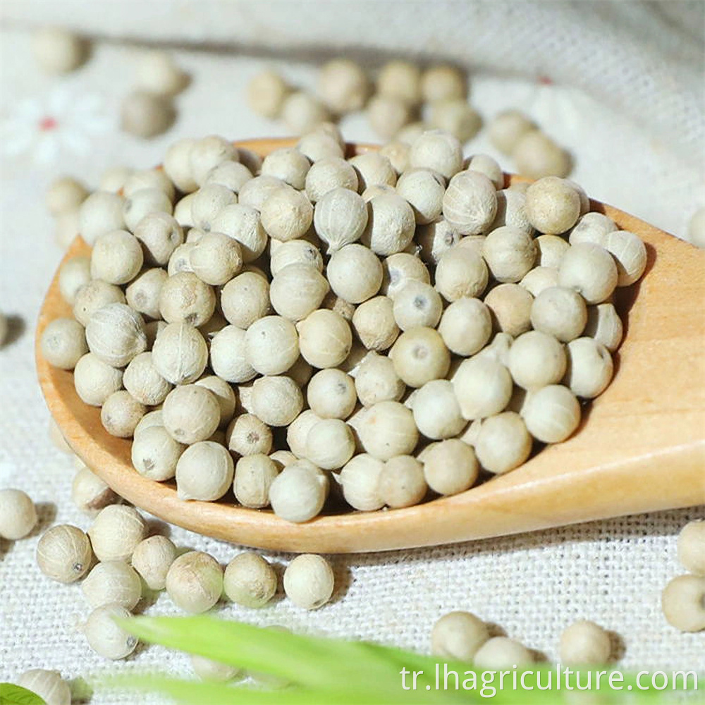 Hainan White Pepper Jpg